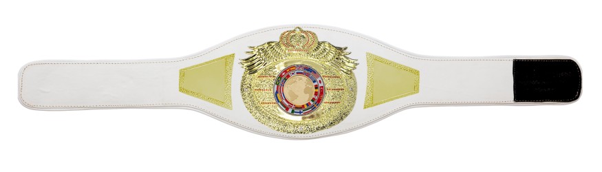 *NEW* PROICON CHAMPIONSHIP BELT/G/WHTGEM - AVAILABLE IN 6+ COLOURS